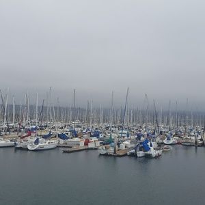 Meet your Posher, Maryna